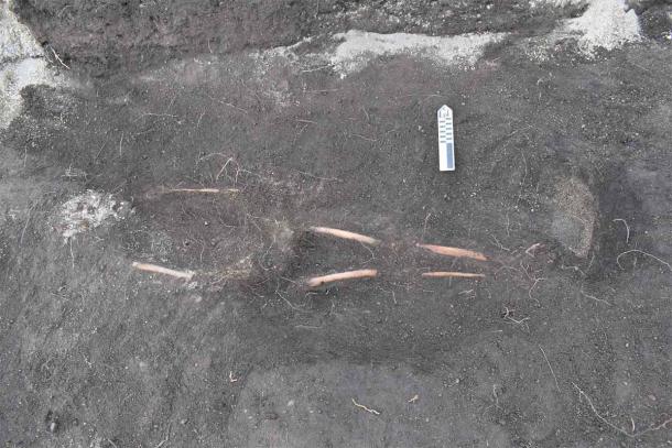 12 skeletons were found in the ancient Inca cemetery. (EFE/Byron Ortiz/Mulalo Archaeological Project - Salatilin)