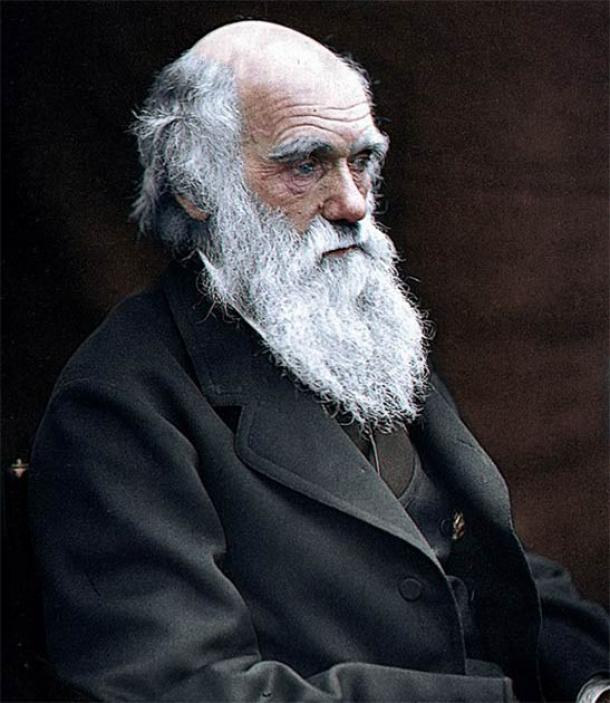 Charles Darwin. (Julius Jääskeläinen/CC BY 2.0)