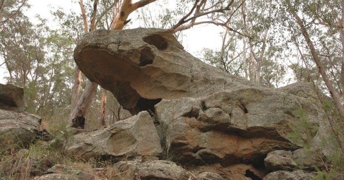 tiddalik the frog aboriginal dreamtime stories indigenous australia