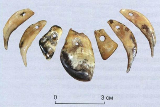The oldest artifact ever found in Eurasia is an elk tooth pendant. It was discovered in the Altai region of Russia in an Denisovan cave. (Institute of Archaeology and Ethnography)