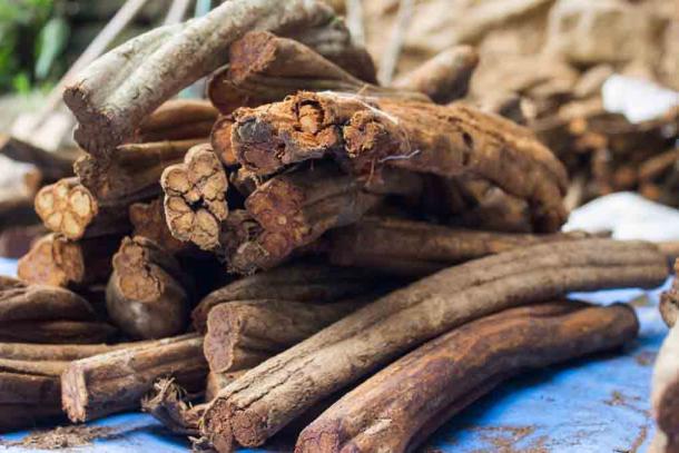 Ayahuasca is just one “magically medicinal” plant which was consumed by ancient trippers. The new study has found that by analysis of ancient teeth, researchers can discover what kind of drugs were consumed. (artinlumine / Adobe Stock)