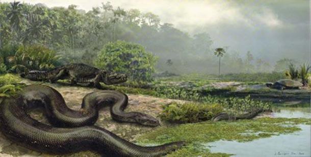 Titanoboa with a dyrosaur and a turtle. (Jason Bourque/University of Florida)