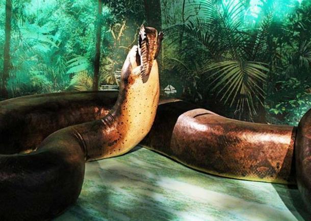 The "Titanoboa: Monster Snake" exhibit from the Smithsonian at the Natural History Museum. (Ryan Quick/CC BY 2.0)