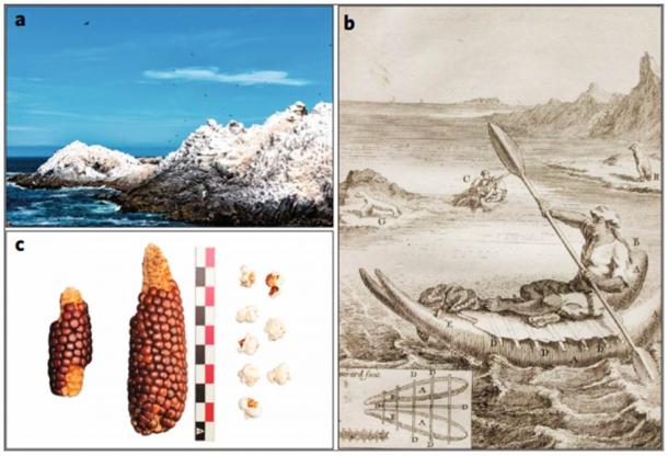 Modern, historical and archaeological images associated with seabird guano and crops. a, Modern seabird guano accumulations in Patache, Tarapacá region, northern Chile (picture of Exequiel Sagredo Wildner). b, Man on a sea lion skin raft described by Frézier (1717). The rafts were used for collecting guano on the Pacific coast of northern Chile (Cieza de León, 1984). c, Maize cob with grains and popcorn collected from the Formative site, Tarapacá 40 analysed in this work. Scale bar, 10 cm. (Francisca Santana-Sagredo / Nature Plants)