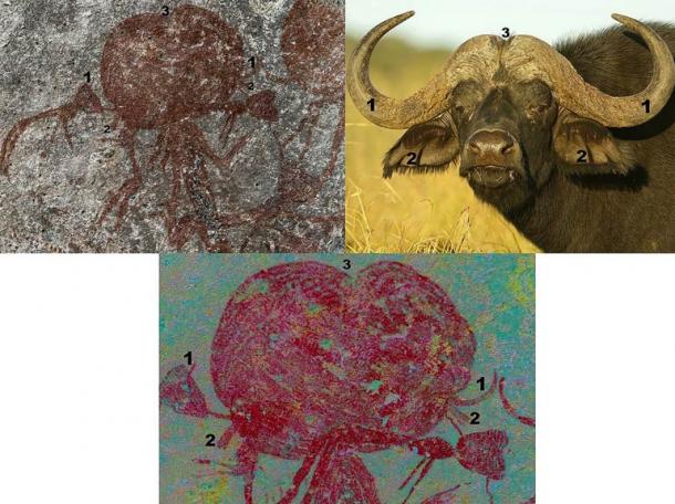Comparison of the head of figure 059 (top left) and African buffalo (top right) and close-up of the digitally enhanced photograph (using DStrech) showing finer detail and superimposed layers.