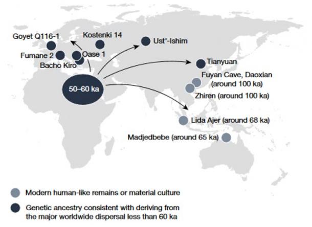 Locations of early individuals with modern human ancestry in Eurasia, together with sites that may indicate an earlier dispersal in Asia and Sahul (the continental shelf centred on Australia)