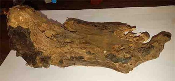 The mummified foot long believed to have belong to the apostle St Philip. (Professor Kaare Lund Rasmussen / University of Southern Denmark)