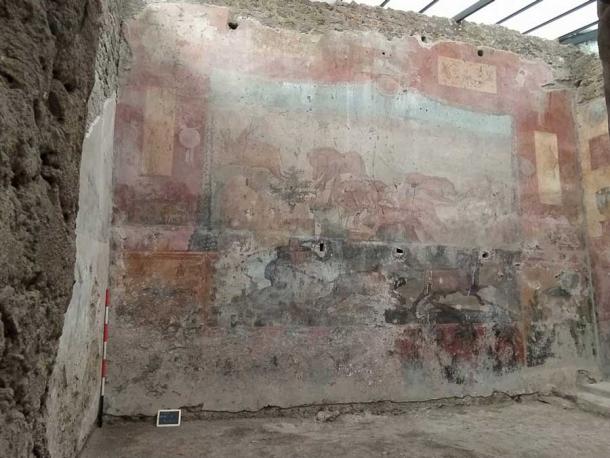 The faded fresco before it underwent restoration. (Pompeii Sites)