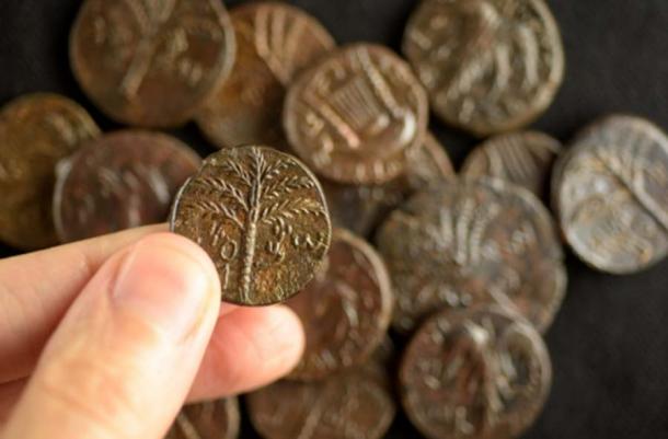 Coins from the Bar Kokhba period recovered from the Cave of Horror. (Dafna Gazit / Israel Antiquities Authority)