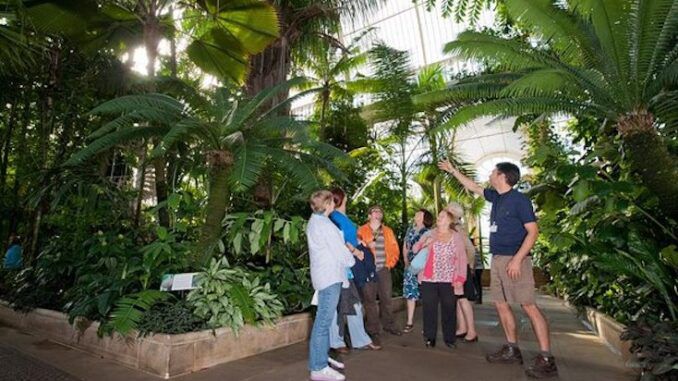 Kew Gardens to tell visitors how racists its plants really are