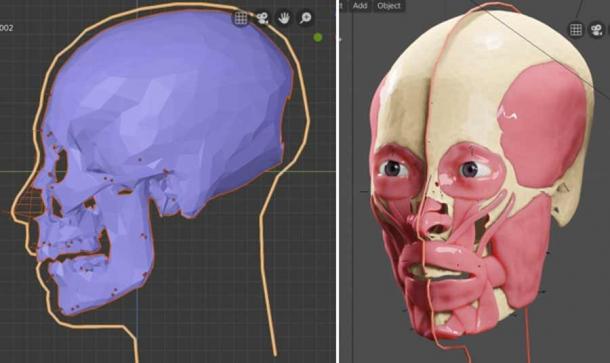 Steps in the facial reconstruction process. (FAPAB Research Center)