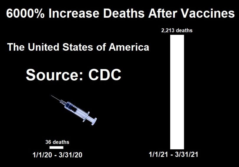 6000% increase in reported vaccine deaths 1st quarter 2021 compared to 1st quarter 2020