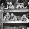 Holocaust Survivors – Genetically Damaged