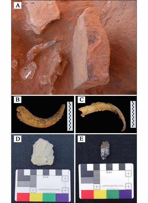 Artifacts recovered during excavation and ground survey: A) cattle horn positioned in front of a betyl; B–C) cattle horns; D) Neolithic micro core; E) Neolithic bifacial foliate. (© AAKSA and Royal Commission for AlUla/Antiquity Publications Ltd)