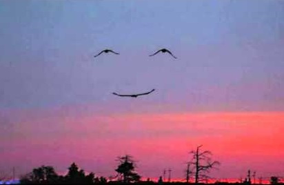 Smile In The Sky