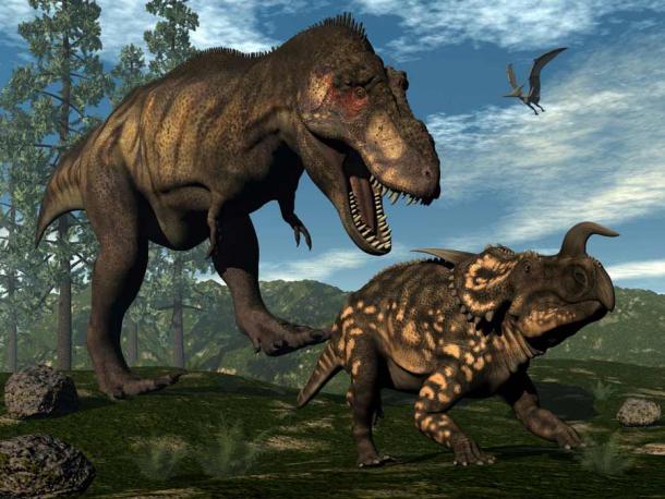Tyrannosaurus rex attacking an Einiosaurus. (Elenarts / Adobe Stock)
