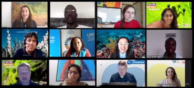 Global Youth Summit speakers during live sessions and intergenerational dialogues. Courtesy: International Union for Conservation of Nature (IUCN)
