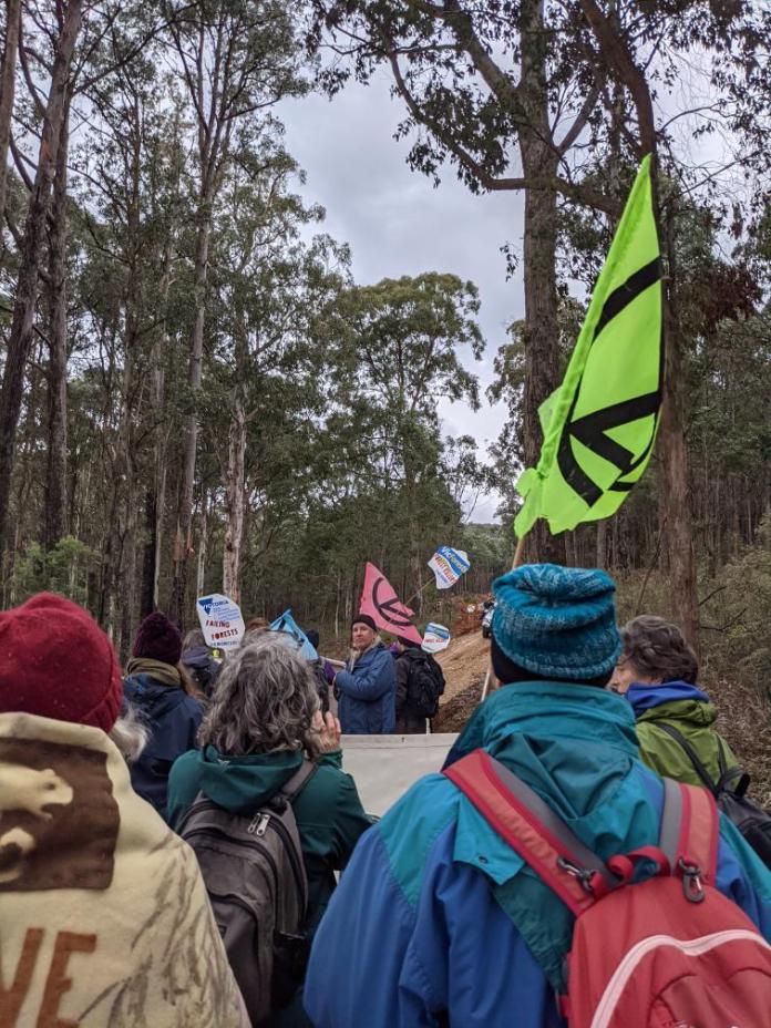 Protesters in a forest