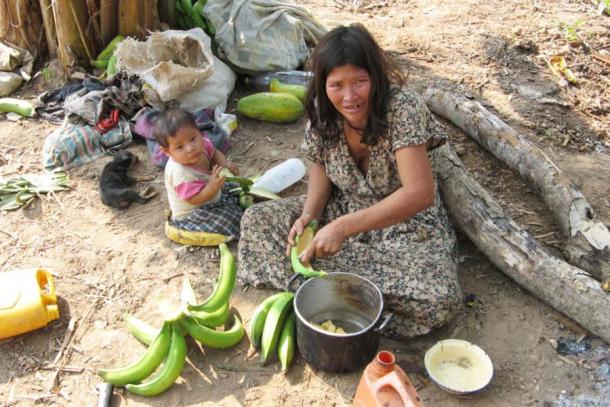 A systematic survey of Tsimane dietary habits found that processed foods represented only a tiny portion of their diet. (Tsimane Health and Life History Project)