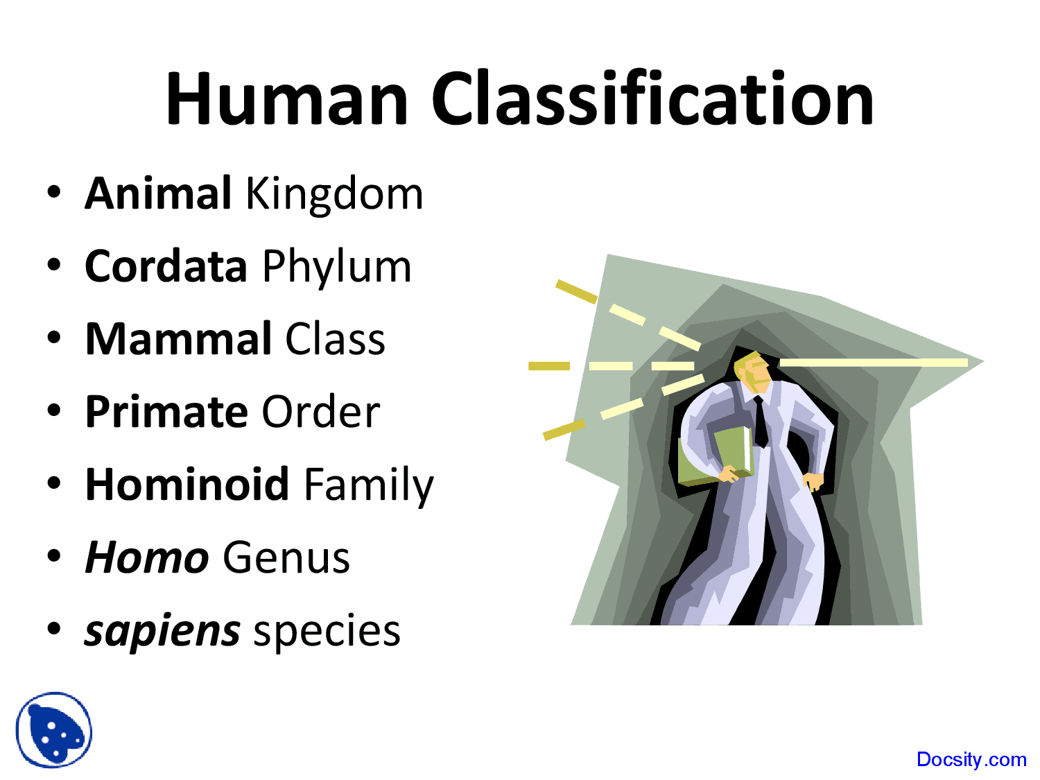 Human Classification - International Baccalaureate Biology - Lecture Slides - Docsity