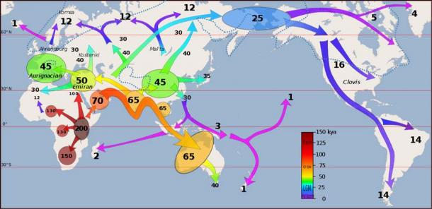 The “kya” (thousands of years ago) numbers on this map indicate when “humans” first migrated from Africa and then steadily east to North America. (Dbachmann / CC BY-SA 4.0)