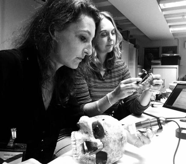 Study of the Jebel Sahaba human remains in the Egypt and Sudan Department of the British Museum. Microscopic analysis of bone lesions and anthropological characterization. Dr. M.H. Dias-Meirinho (left), Dr. I. Crevecoeur (right). (Credit Isabelle Crevecoeur and colleagues/Scientific Reports)