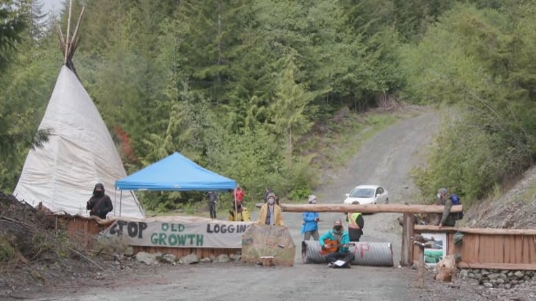 http://www.jewworldorder.org/wp-content/uploads/2021/05/police-arrest-7-protesters-at-logging-blockade-on-southern-vancouver-island.jpg