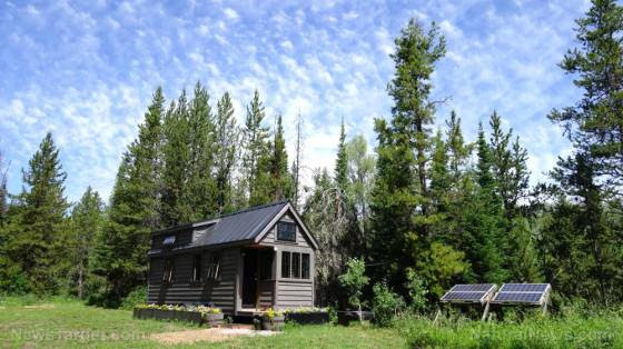 Self-sustainability and independence: A beginner’s guide to living off the grid Tiny-house-grid-off-home-solar-cabin