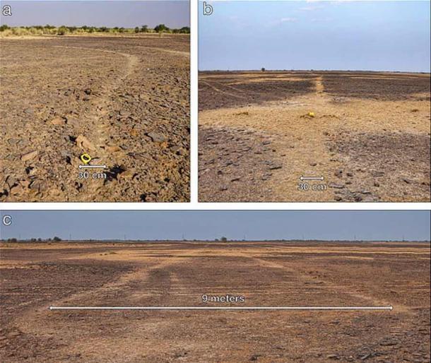 Huge geoglyphs etched into the Thar Desert. (Carlo Oetheimer and Yohann Oetheimer / Archaeological Research in Asia)