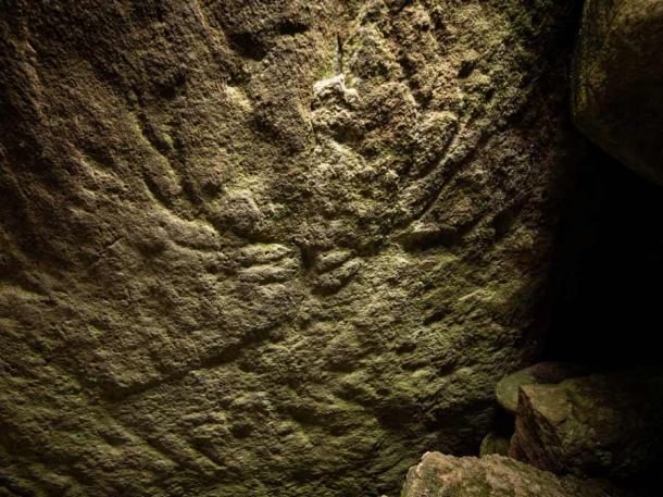 Photograph of the deer carvings discovered in Scotland. (Santiago Arribas Pena / Historic Environment Scotland)