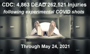 CDC Stats through May 24th, 2021 CDC-5.34.21-768x461-1-300x180