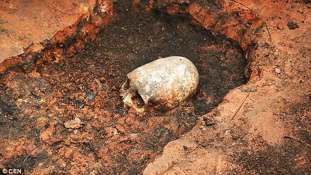the mysterious skeleton with an extremely elongated skull found in russia