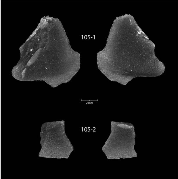 Photomicrographs of the two obsidian flakes found beneath Lake Huron on a dark field to highlight flake modification. (PLOS ONE)