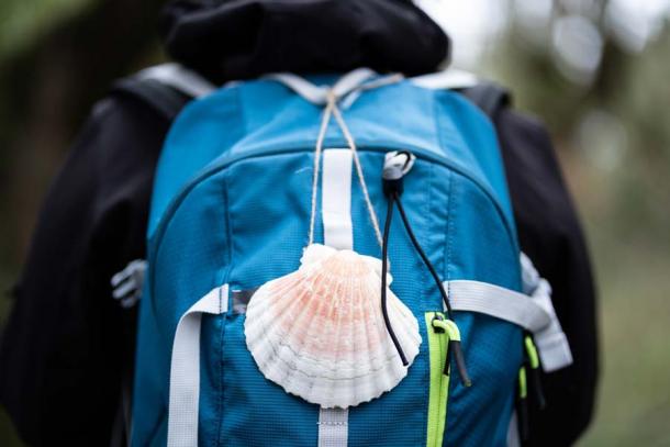 The scallop shell has become the symbol of the pilgrim walking the Camino de Santiago in Spain. (JulianLogle / Adobe Stock)