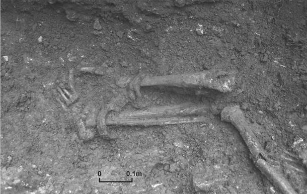Close-up of the lower legs showing iron fetters or shackles fastened around the Roman slave’s ankles, looking south. The Roman slave’s skeleton was found next to a “normal” Roman cemetery in England, which was known as Britannia during the Roman Empire. (Britannia journal)