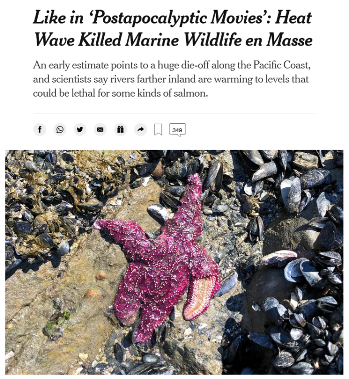 NYT: Like in ‘Postapocalyptic Movies’: Heat Wave Killed Marine Wildlife en Masse