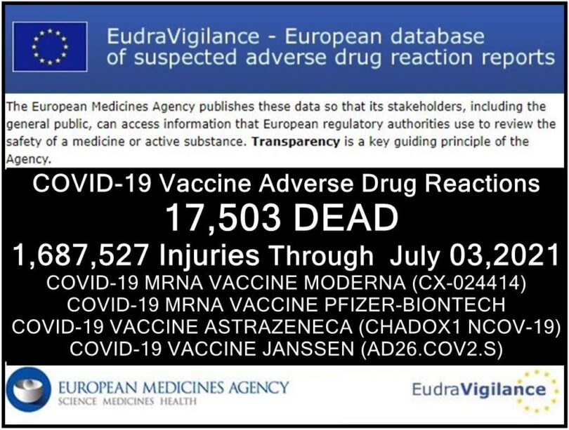 european union database of adverse drug reactions for covid 19 shots 17,503 dead, 1.7 million injured (50% serious)
