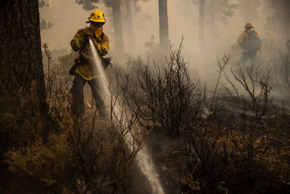Firefighters extinguish a hot spot during the Dixie Fire in Chester, California.