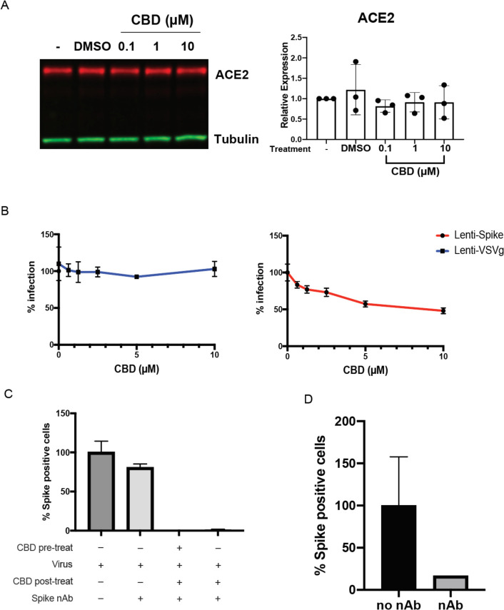 Cannabidiol Inhibits SARS-CoV-2 Replication and Promotes the Host Innate Immune Response Nihpp-2021.03.10.432967-f0003
