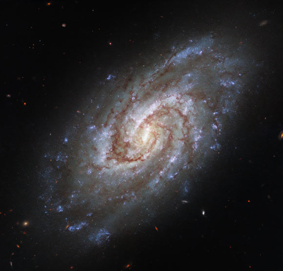Hubble Space Telescope Sees Spiral Galaxy IC 1954 Image_9916-IC-1954