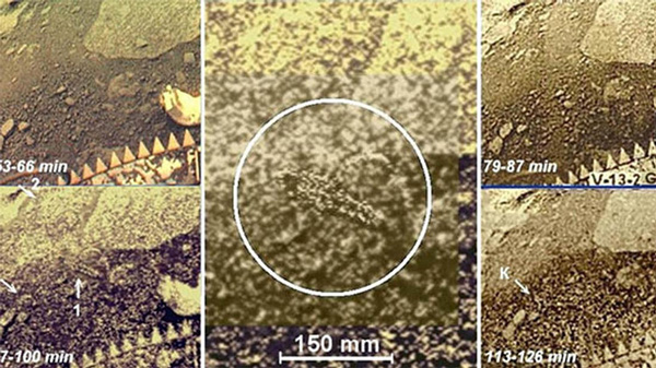 russian scientist claimed to find extraterrestrial life on venus