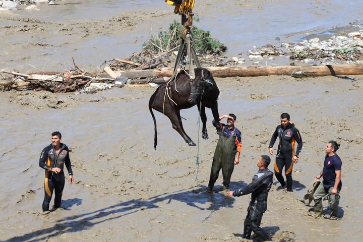 Rescue workers watch during a rescue operation for a cow a day after floods and mudslides killed about three dozens of people