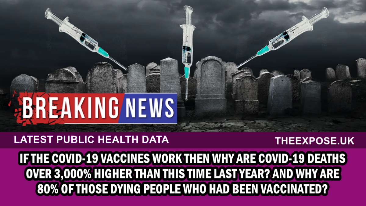 covid 19 deaths 3,000% higher than this time last year and 80% of the dead had the vaccine