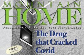 drug that cracked covid