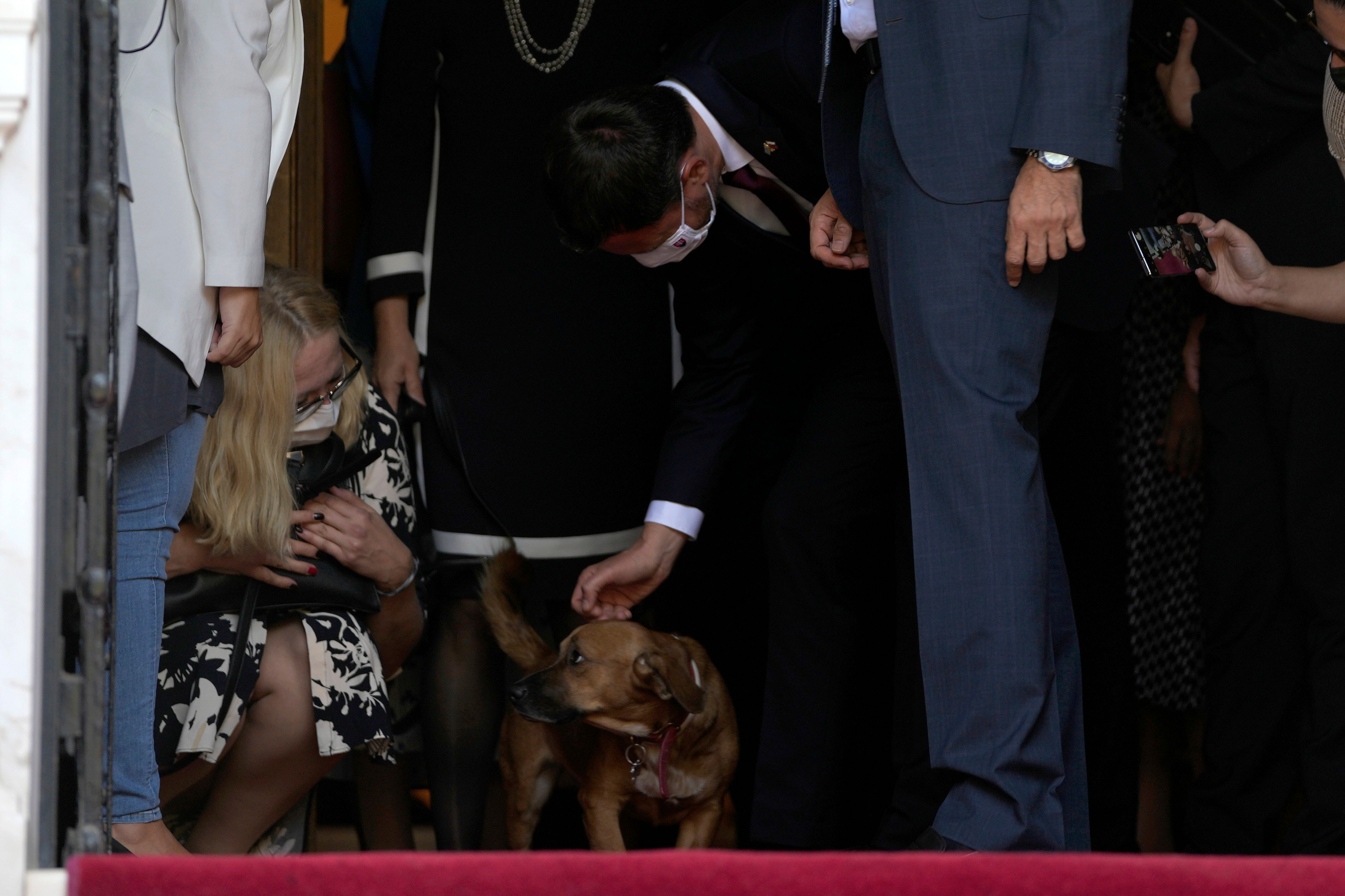 Slovakia's Prime Minister Eduard Heger pats Peanut the dog of his Greek counterpart Kyriakos Mitsotakis as they leave Maximos