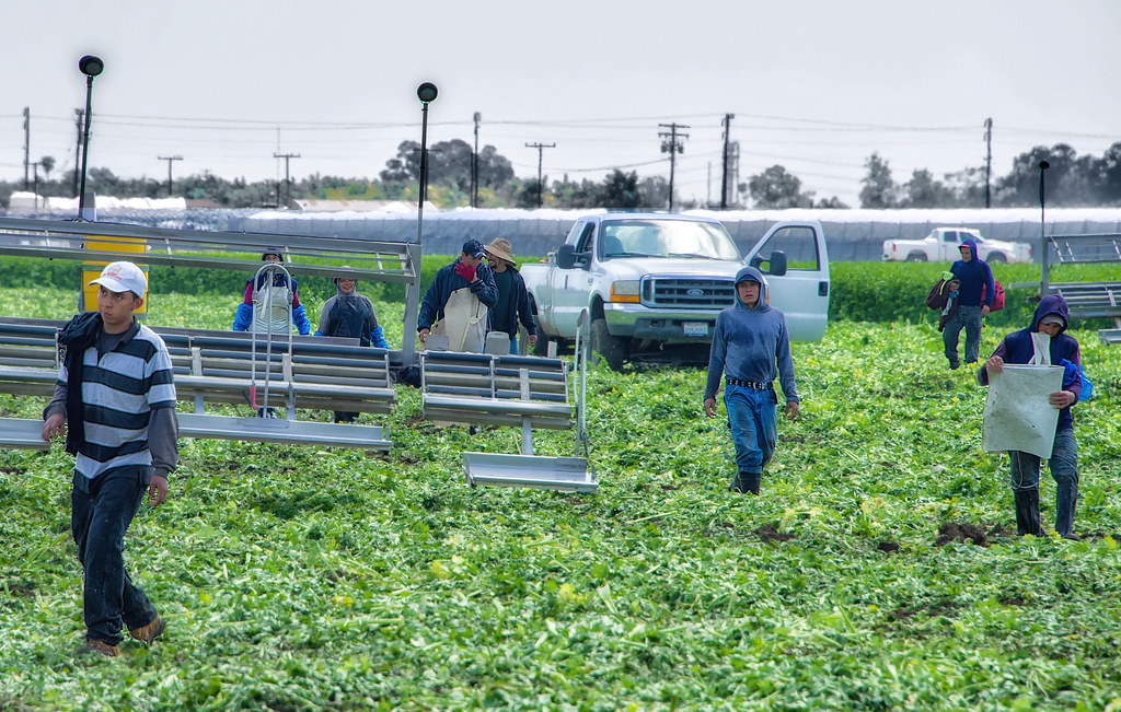 http://www.jewworldorder.org/wp-content/uploads/2021/10/migrant-farmworkers-are-being-left-out-of-roundup-cancer-compensation-1.jpg