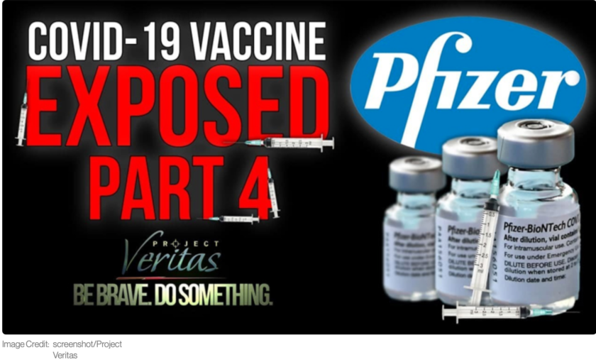 pfizer scientist admits ‘your antibodies are probably better than the vaccination’