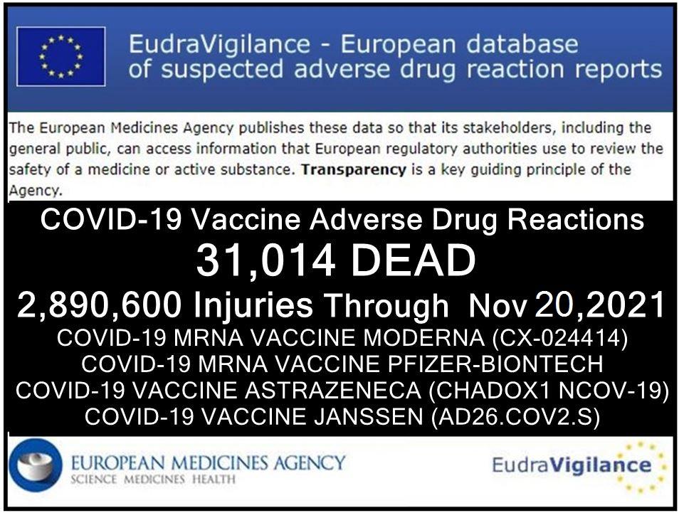 european database 31,014 deaths 2,890,600 injuries following covid shots