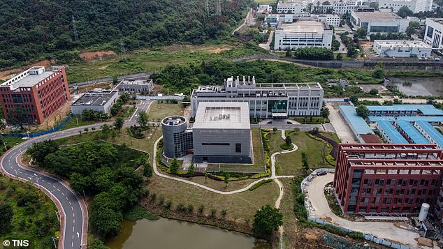 Since China alerted the world to a mysterious virus circulating in Wuhan in December 2019, a debate has been raging over its true source (pictured: WIV's P4 laboratory)