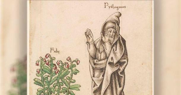 French manuscript from 1512/1514, showing Pythagoras turning his face away from fava beans in revulsion. Source: Public Domain